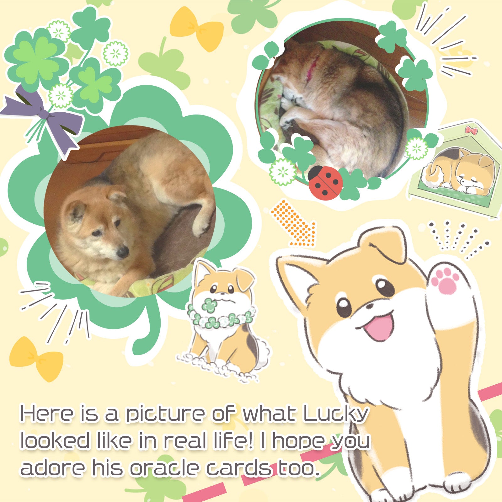 THE LUCKY ORACLE